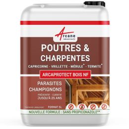 Traitement bois pour charpente et poutre, produit pour insecte xylophage : ARCAPROTECT BOIS +
