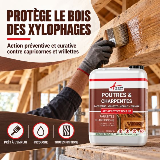 Traitement bois pour charpente et poutre, produit pour insecte xylophage : ARCAPROTECT BOIS NF