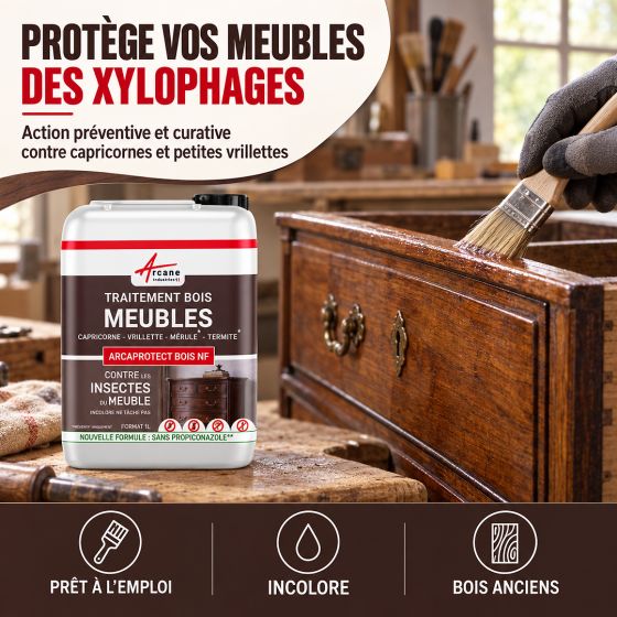Traitement meuble en bois - Protection insecte du bois et vermoulu : ARCAPROTECT BOIS NF