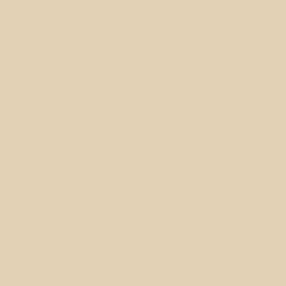 campioni di colore ARCAPOXY - 245 1 kg (fino a 10 m² in 2 strati) Avorio Chiaro - RAL 1015
