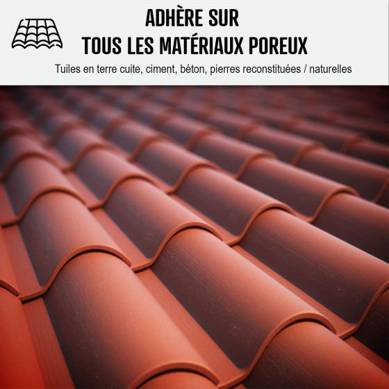impermeabilisant tuile - IMPERTOITURE HYDRO