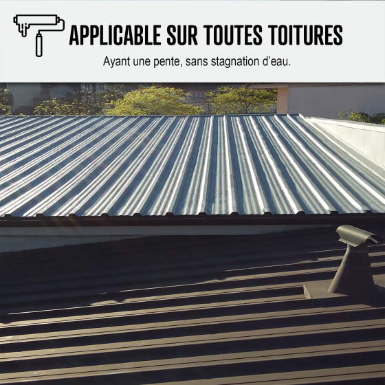 étanchéité toiture - ARCAFILM ANTICO