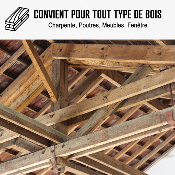 Traitement Capricorne du Bois
