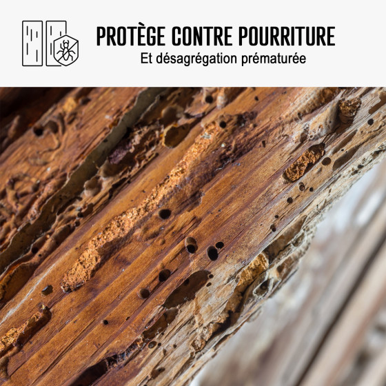 Traitement Capricorne du Bois