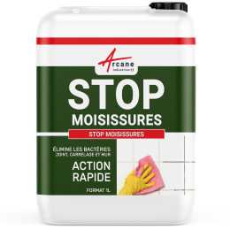 Antimuffa ad alte prestazioni - ARCADAMP - 287 1 L