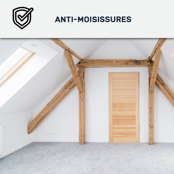 Peinture anti condensation, odeurs et moisissure pour pièce humide : Arcascreen Anti Condensation