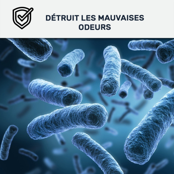 Peinture anti condensation, odeurs et moisissure pour pièce humide : Arcascreen Anti Condensation