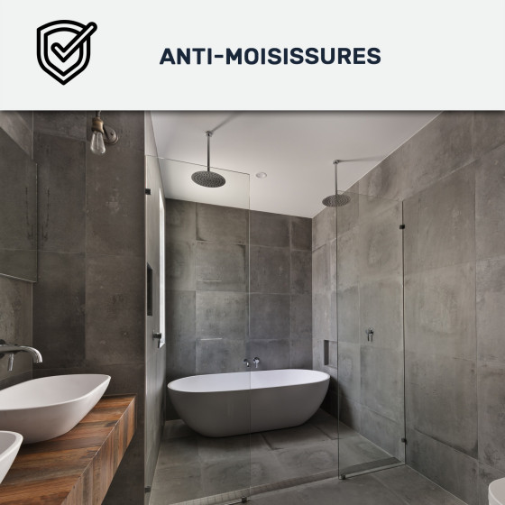 Peinture salle de bains mur et plafond : Arcadéco Salle de Bain