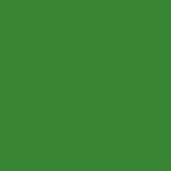 Pittura per Prato ARCAGREEN 4 L Verde - Campioni di colore