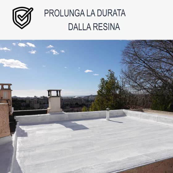 Pulitore per resina di tenuta e Cool Roof: Arcane 235 5 L