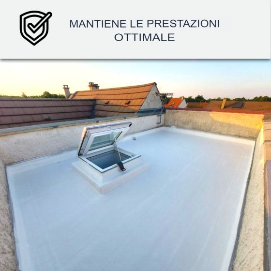 Pulitore per resina di tenuta e Cool Roof: Arcane 235 5 L