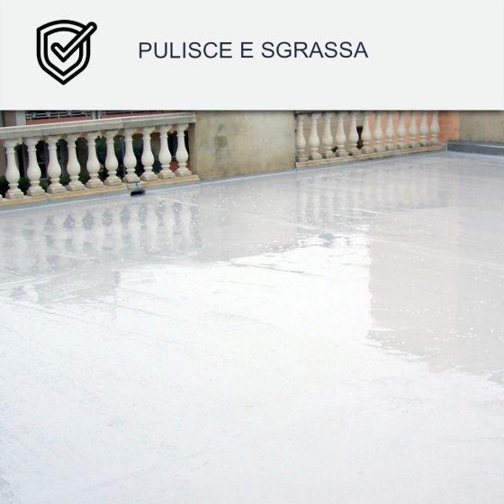 Pulitore per resina di tenuta e Cool Roof: Arcane 235 5 L
