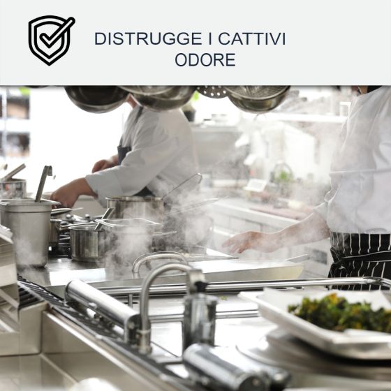 Pittura lavabile per cucina, pareti e soffitto : ARCADECO - 1216 2.5 L Bianco