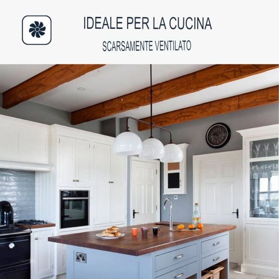 Pittura lavabile per cucina, pareti e soffitto : ARCADECO - 1216 2.5 L Bianco