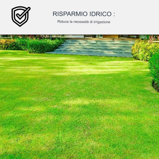Pittura per Prato ARCAGREEN 4 L Verde